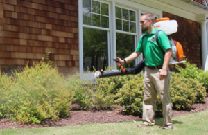 Mosquito Joe of Jackson technician spraying bushes out of a home. 